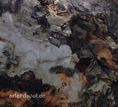 Sally Swain tree texture